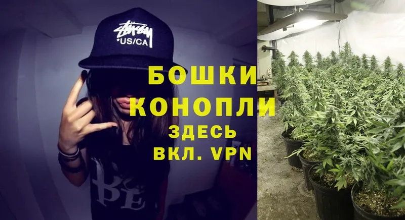 МАРИХУАНА OG Kush  Белёв 